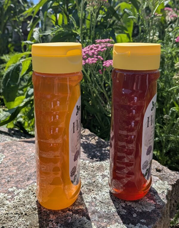 1 lb honey dripless squeeze bottle - Image 3