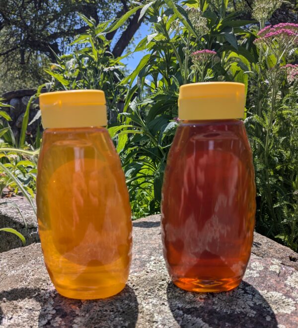 1 lb honey dripless squeeze bottle - Image 2